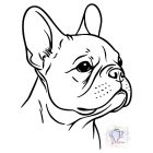 Francia Bulldog póló - French Bulldog pulcsi - Kutyás póló - Egyedi Feliratos póló