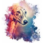 Greyhound póló - Angol Agár póló - Kutyás póló - Egyedi Feliratos póló