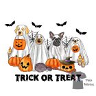Halloween Trick or Treat kutyás póló
