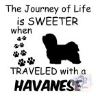 Havanese póló - Havanese Pulcsi - Kutyás póló - Egyedi Feliratos póló