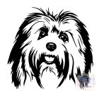 Havanese póló - Havanese Pulcsi - Kutyás póló - Egyedi Feliratos póló