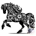 Lovas póló/pulcsi - Ló póló - Egyedi Feliratos póló