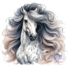 Lovas póló/pulcsi - Ló póló - Egyedi Feliratos póló