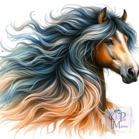 Lovas póló/pulcsi - Ló póló - Egyedi Feliratos póló