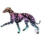 Kis Olasz Agár póló - Italian Greyhound pulcsi - Kutyás póló - Egyedi Feliratos póló
