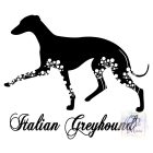 Kis Olasz Agár póló - Italian Greyhound pulcsi - Kutyás póló - Egyedi Feliratos póló