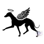 Kis Olasz Agár póló - Italian Greyhound pulcsi - Kutyás póló - Egyedi Feliratos póló