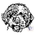 Lagotto Romagnolo póló - Lagotto Romagnolo pulcsi - Kutyás póló - Egyedi Feliratos póló