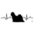 Lhasa Apso póló - Lhasa Apso pulcsi - Kutyás póló - Egyedi Feliratos póló