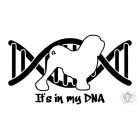 Lowchen póló - Lowchen pulcsi - Kutyás póló - Egyedi Feliratos póló