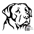 Labrador matrica