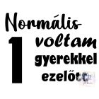 Normális voltam 1 gyerekkel ezelőtt póló - Anya póló - Vicces Feliratos póló - Anyu póló - Egyedi póló