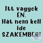 Nem kell ide szakember póló - Vicces póló - Egyedi Feliratos póló