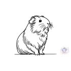 Tengerimalac póló - Állatos Póló - Egyedi póló