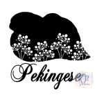 Pekingi Palotakutya póló - Pekingese pulcsi - Kutyás póló - Egyedi Feliratos póló