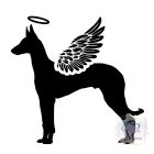 Fáraókutya póló - Pharaoh Hound póló - Kutyás póló - Egyedi Feliratos póló