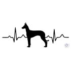 Fáraókutya póló - Pharaoh Hound póló - Kutyás póló - Egyedi Feliratos póló