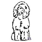 Uszkár póló - Poodle pulcsi - Kutyás póló - Egyedi Feliratos póló