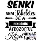 Senki sem tökéletes Rendőr póló - Vicces póló