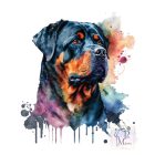 Rottweiler póló - Rottweiler pulcsi - Kutyás póló - Egyedi Feliratos póló