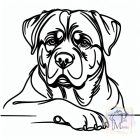 Rottweiler póló - Rottweiler pulcsi - Kutyás póló - Egyedi Feliratos póló