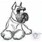 Schnauzer póló - Schnauzer pulcsi - Kutyás póló - Egyedi Feliratos póló