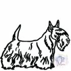 Skót Terrier póló - Scottish Terrier pulcsi - Kutyás póló - Egyedi Feliratos póló