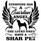 Shar Pei póló - Shar Pei pulcsi - Kutyás póló - Egyedi Feliratos póló