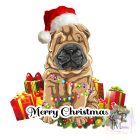 Shar Pei póló - Shar Pei pulcsi - Kutyás póló - Egyedi Feliratos póló