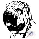 Shar Pei póló - Shar Pei pulcsi - Kutyás póló - Egyedi Feliratos póló