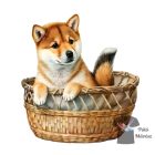 Shiba Inu póló - Shiba Inu pulcsi - Kutyás póló - Egyedi Feliratos póló