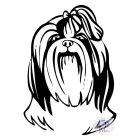 Shih Tzu póló - Shih Tzu pulcsi - Kutyás póló - Egyedi Feliratos póló