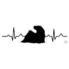 Shih Tzu póló - Shih Tzu pulcsi - Kutyás póló - Egyedi Feliratos póló