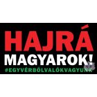Szurkolói póló - HAJRÁ MAGYAROK, EGY VÉRBŐL VALÓK VAGYUNK PÓLÓ