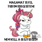 Magamat is fel tudom idegesíteni Unikornis Póló - Unikornisos Pulóver - Egyedi Feliratos póló