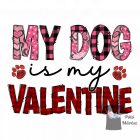 Valentin napi kutyás póló - Egyedi Feliratos póló