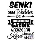 Welsh Corgi póló - Welsh Corgi pulcsi - Kutyás póló - Egyedi Feliratos póló