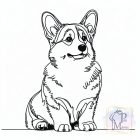 Welsh Corgi póló - Welsh Corgi pulcsi - Kutyás póló - Egyedi Feliratos póló
