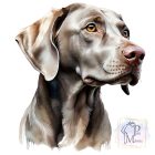Weimari Vizsla póló - Weimaraner pulcsi - Kutyás póló - Egyedi Feliratos póló