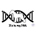 Welsh Terrier póló - Welsh Terrier pulcsi - Kutyás póló - Egyedi Feliratos póló